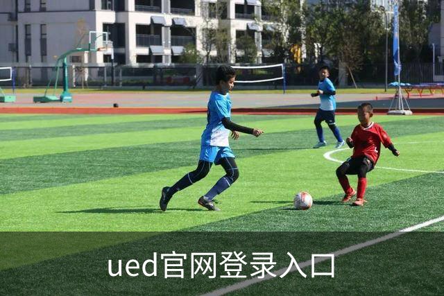 ued官网登录入口品牌展示